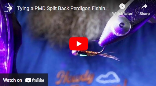 Tying a PMD Split Back Perdigon Fishing Fly